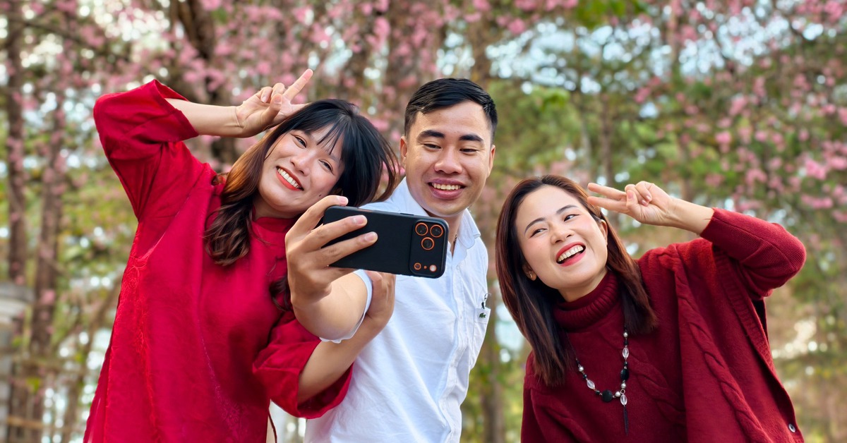 Mai anh đào Đà Lạt đã nở rộ, du khách về phố núi 'sống chậm'