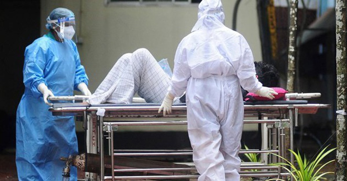 Bộ Y tế yêu cầu cách ly nghiêm ngặt ca nghi nhiễm hoặc xác định mắc vi rút Nipah