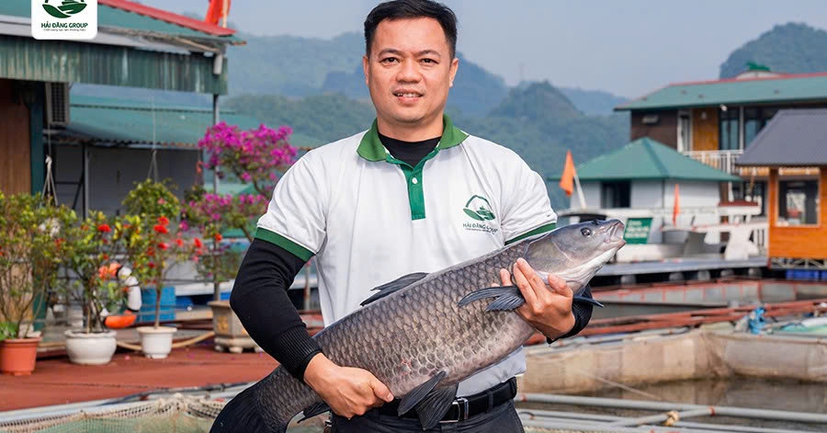 Săn đặc sản ăn chơi ngày Tết - Kỳ 3: Ngày Tết thưởng thức lợn cắp nách, cá sông Đà...