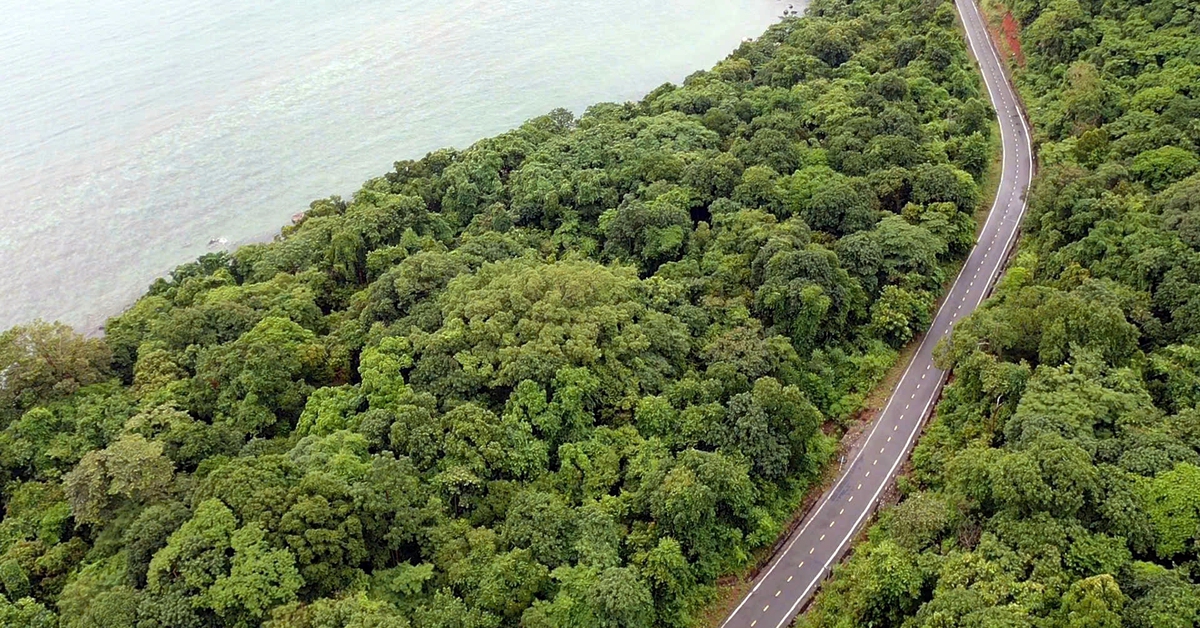 Thanh tra việc chuyển mục đích sử dụng rừng làm Nhà máy xử lý rác Côn Đảo