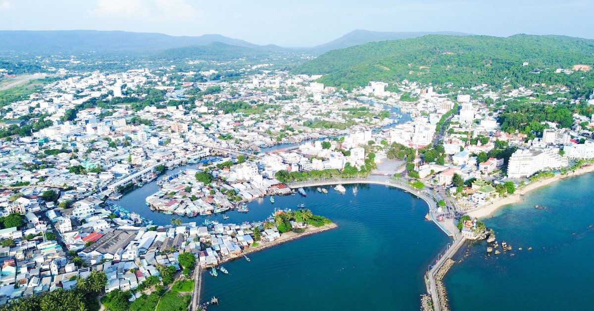 Phú Quốc chủ động phòng ngừa vi rút Nipah