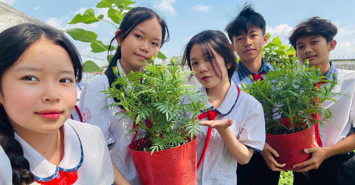 Thầy trò trường quê Cần Thơ tự trồng và bán hoa Tết để… ‘lì xì’ cho học sinh nghèo