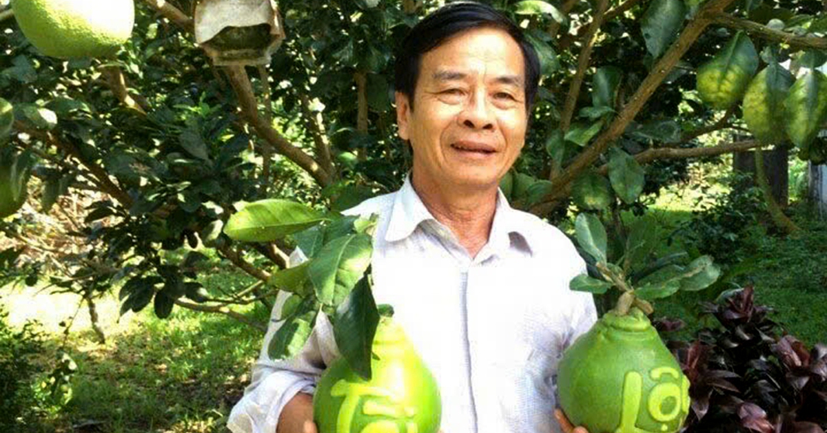 Nhà vườn miền Tây chuẩn bị trái cây tạo hình, in chữ bán Tết