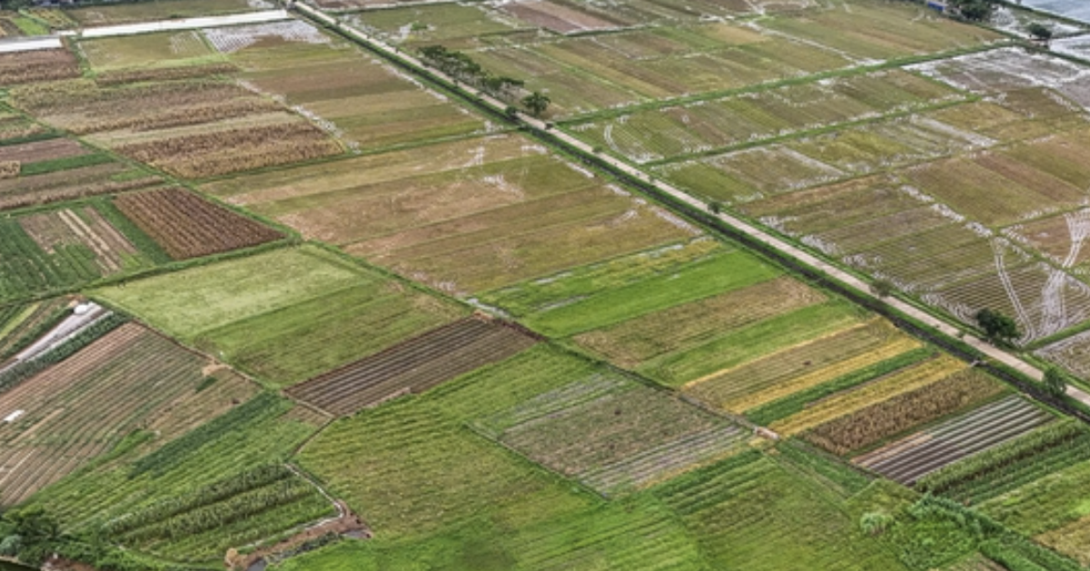 Điều tra, đánh giá đất đai chưa được các địa phương quan tâm đúng mức