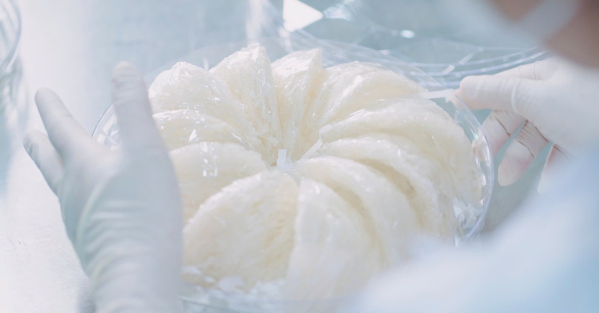 'Vàng trắng' sinh thái: Lợi thế cạnh tranh mới của Cần Giờ