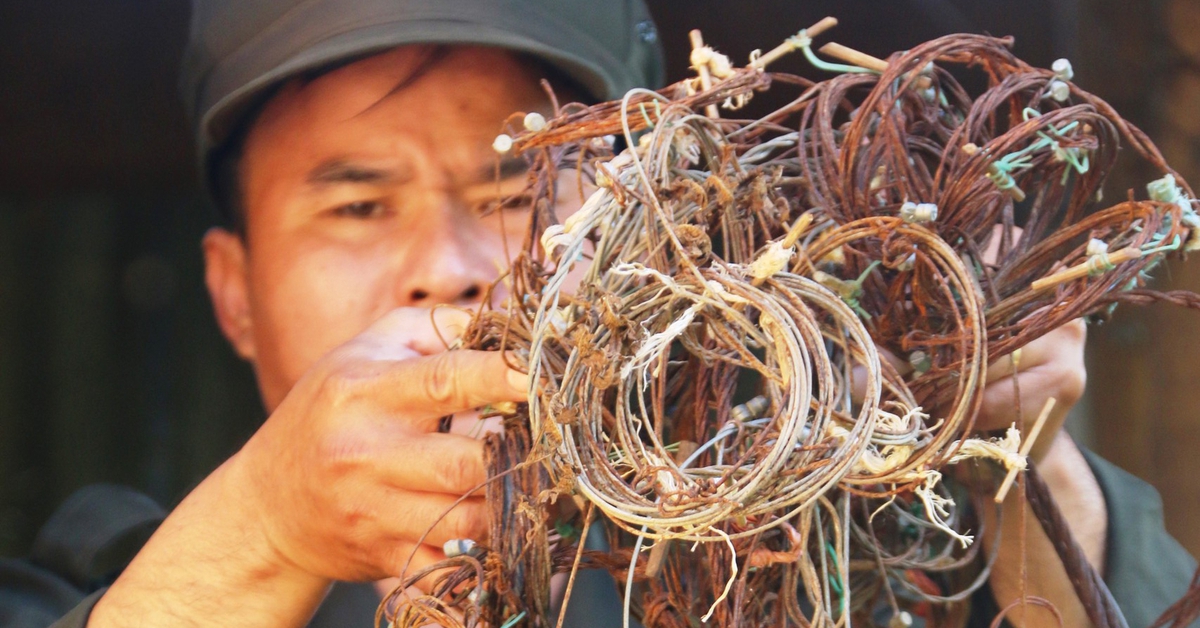 Từ ‘dân nghe’ sang ‘dân làm’ trong bảo vệ thú rừng và bảo tồn đa dạng sinh học