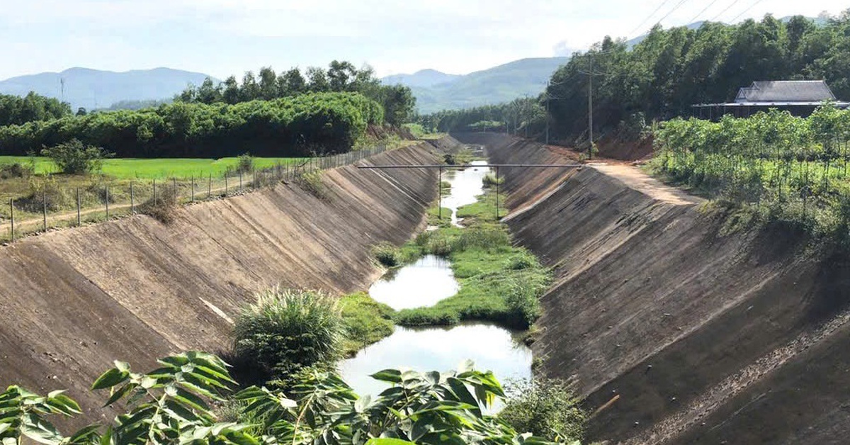 Đất chưa bàn giao thực địa đã thi công, Thủy điện Sông Liên bị xử phạt