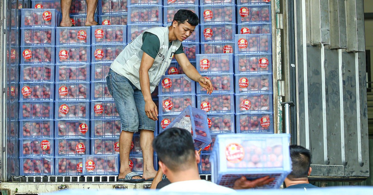 Nông sản khó thông quan khi triển khai quy định mới: Bộ Y tế nói gì?