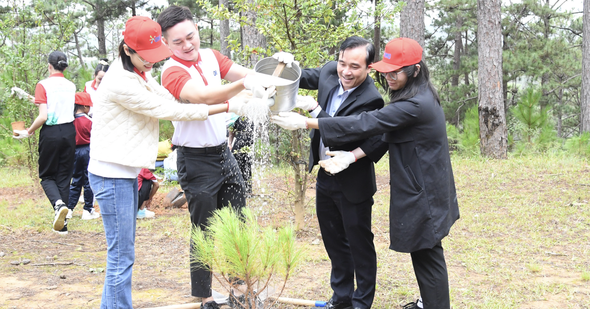 Ông lớn bán lẻ Unilever lại tiếp tục trồng 1 triệu cây xanh cho Việt Nam từ 2026-2030
