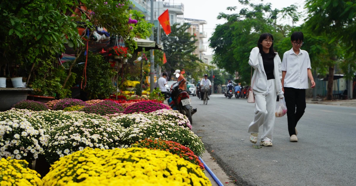 Hoa Tết nở sớm, nhiều điểm bán lẻ đã 'họp chợ' giữa tháng chạp