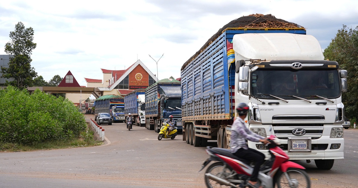 Tây Ninh tháo gỡ cho hàng chục ngàn tấn nông sản ùn ứ do vướng Nghị định 46
