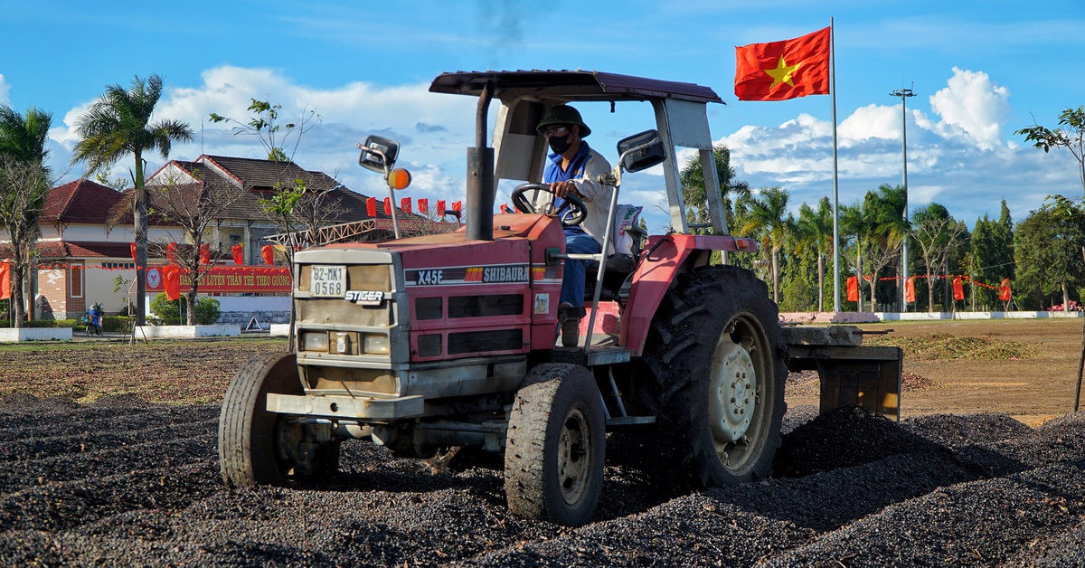 Bắt nhanh nhóm trộm cà phê, giá tăng cao kéo theo nỗi lo mất trộm