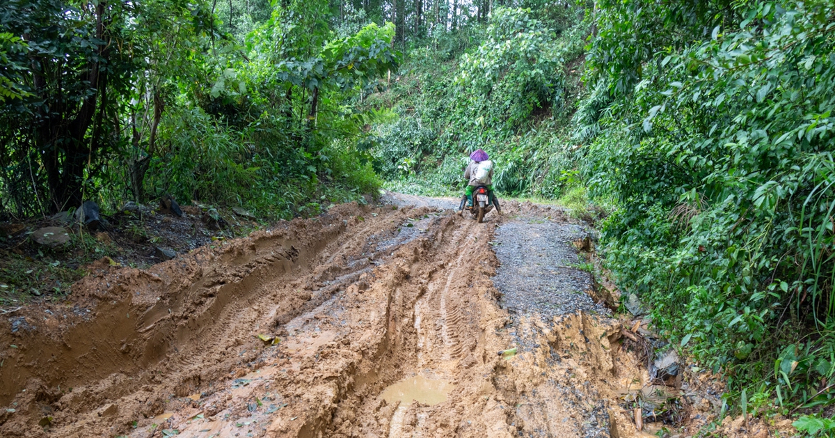 Quảng Trị: Doanh nghiệp điện gió phải nộp vốn sửa đường trước 1/2026 - giải trí news from Tuổi Trẻ