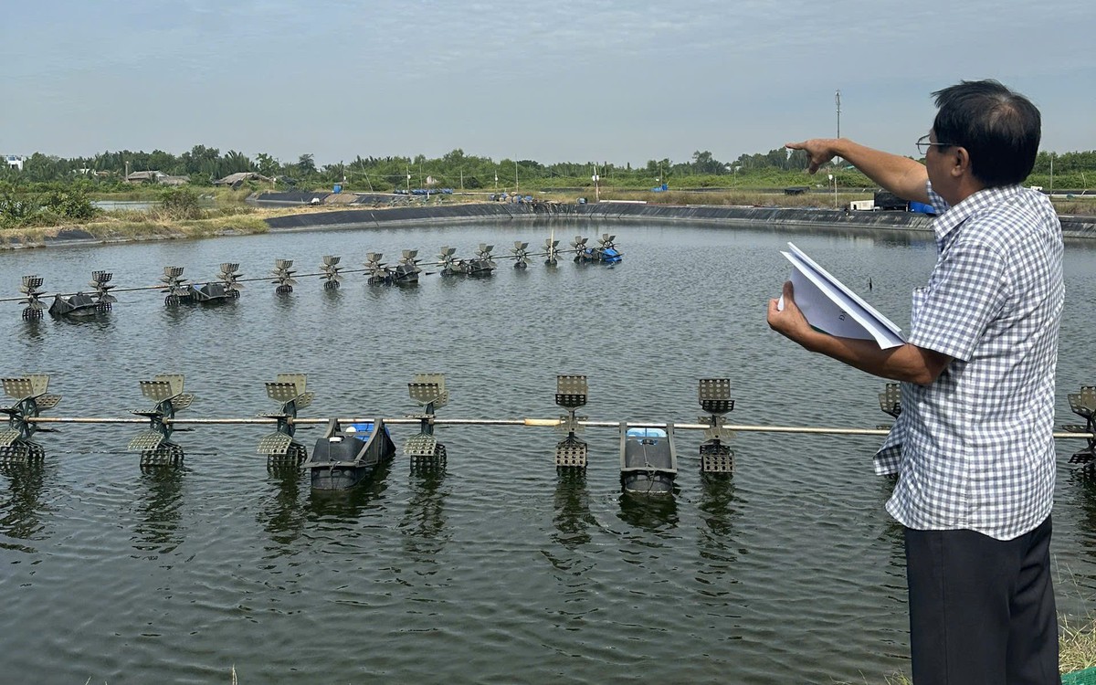 1,8 ha đất đang thế chấp bỗng đổi chủ, cơ quan điều tra xử lý tố cáo một thẩm phán tại Cà Mau