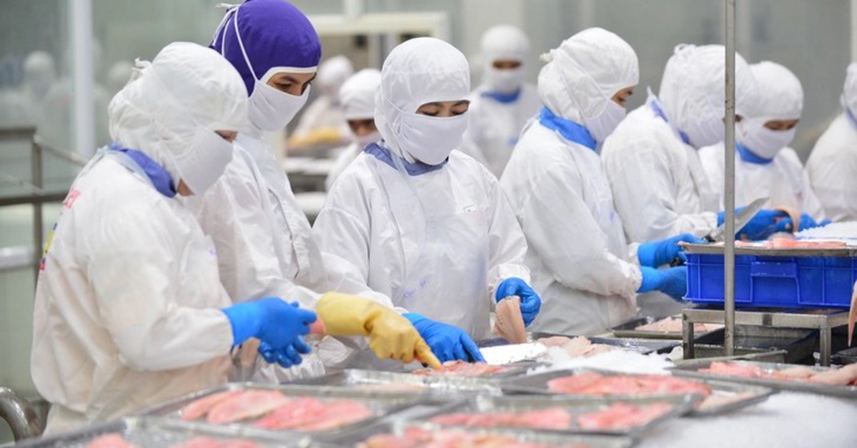 Ngành thủy sản tính năm nay khai thác và nuôi trồng trên 10 triệu tấn, xuất khẩu 11,5 tỉ USD