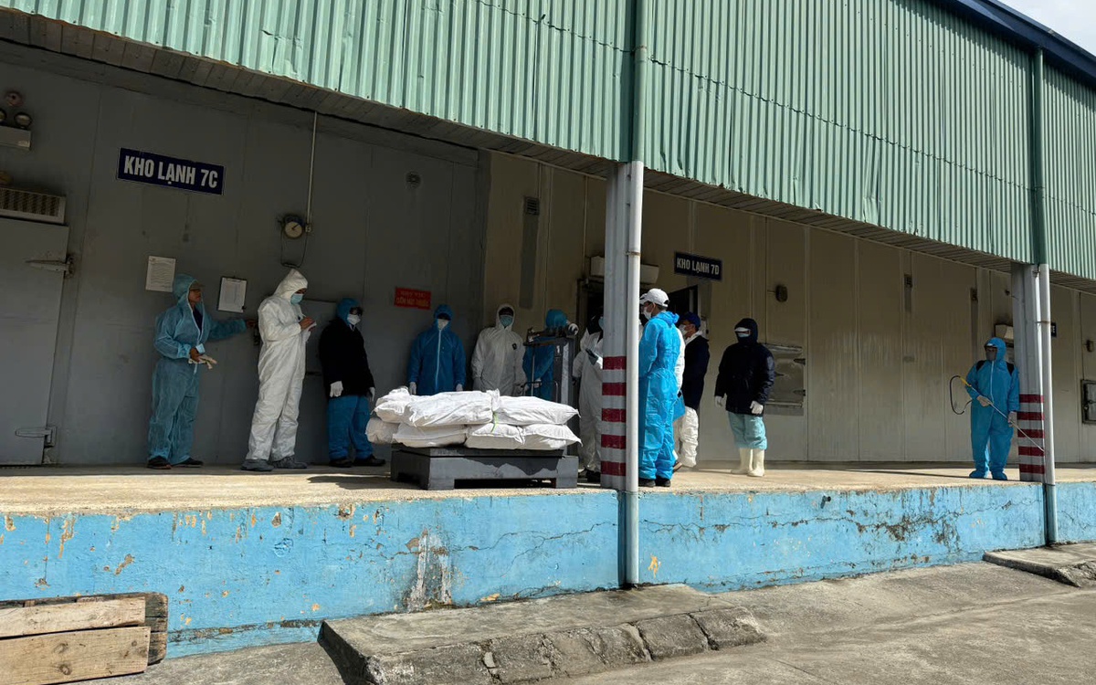 Danh tính 9 người bị khởi tố trong vụ hơn 130 tấn thịt heo nhiễm bệnh liên quan Đồ hộp Hạ Long