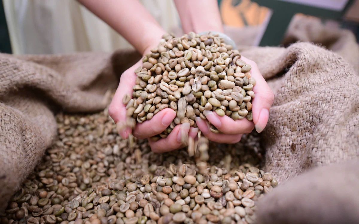 Robusta tuần qua: Đâu là ngưỡng giá của vụ mới?