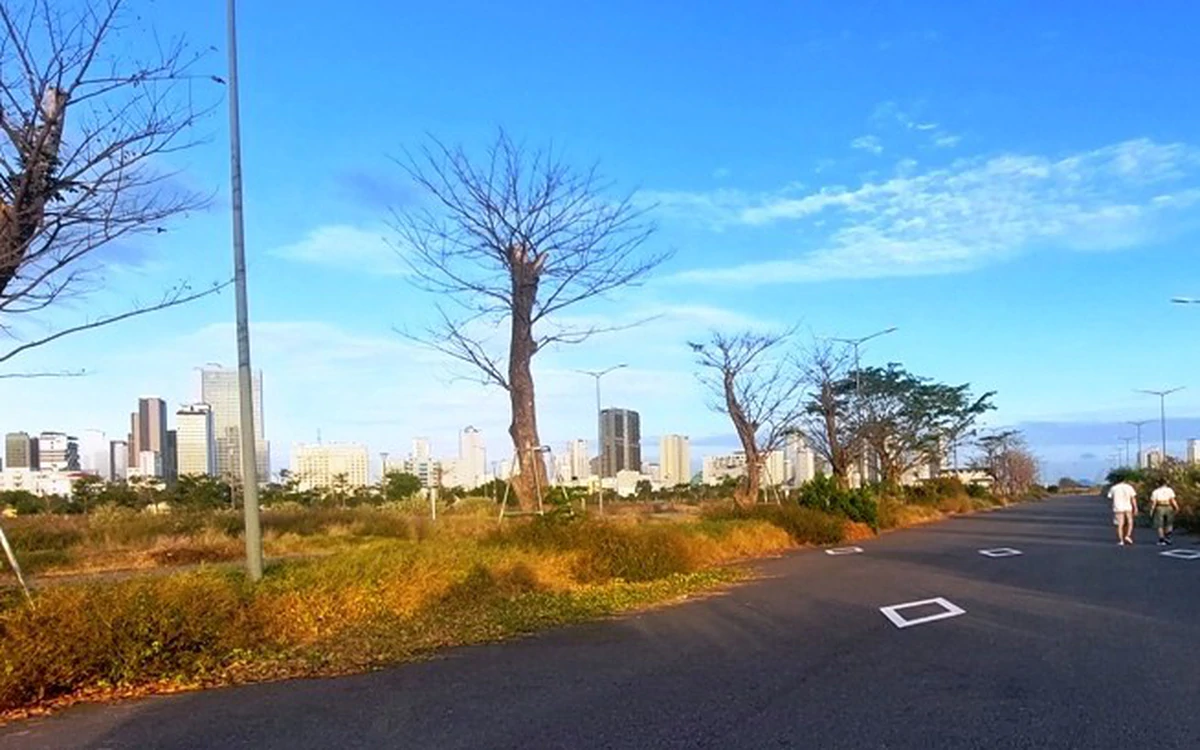 Bất động sản chưa đủ điều kiện: Đừng để người mua tự kiểm tra, tự chịu rủi ro