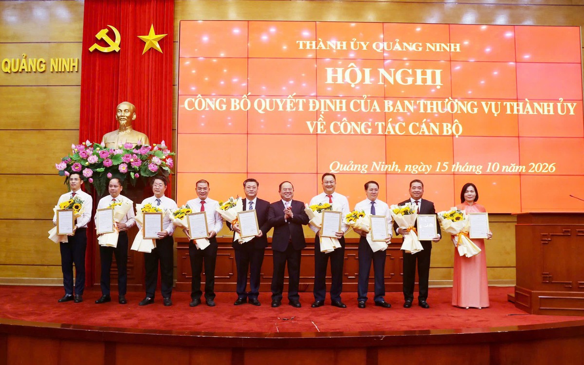 Quảng Ninh bổ nhiệm Giám đốc Sở Tài chính và nhiều lãnh đạo chủ chốt, hoán đổi lãnh đạo địa phương