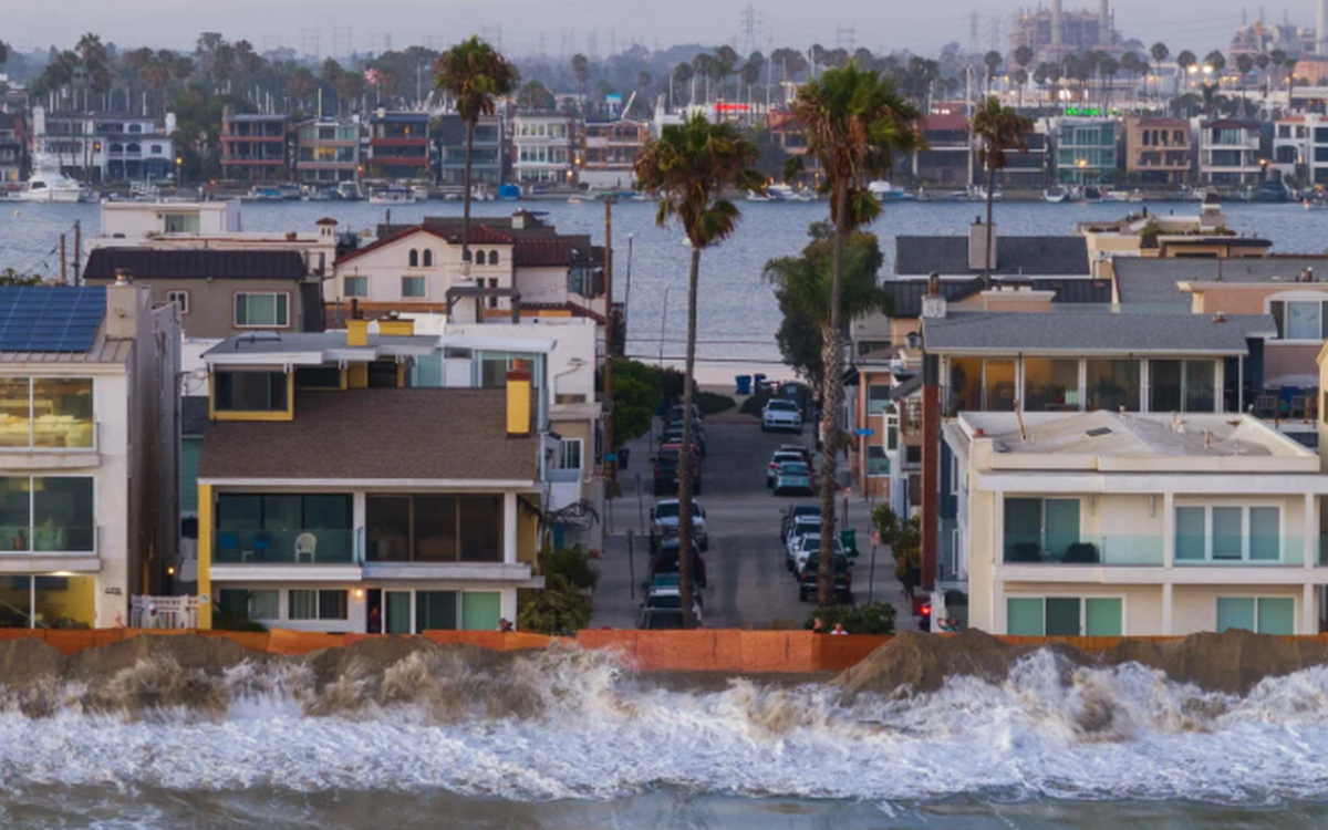 El Nino đưa rắn biển độc, cá nhiệt đới đến bờ biển California