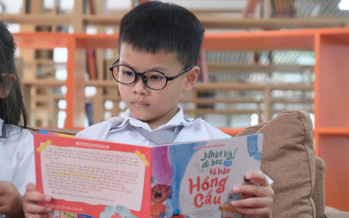 Bộ Giáo dục và đào tạo: Hoàn thành bộ sách giáo khoa mới từ lớp 1-12, sử dụng từ 2028