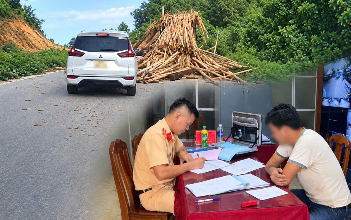 Phạt tài xế 10 triệu đồng do để gỗ keo trên xe đổ xuống đường
