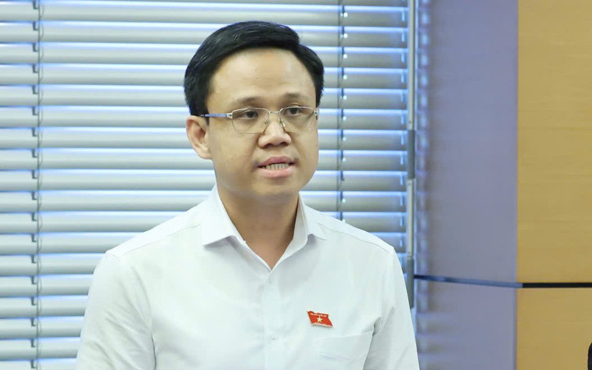 Đại biểu đề nghị đơn giản hóa thủ tục đầu tư điện mặt trời mái nhà tự sản, tự tiêu