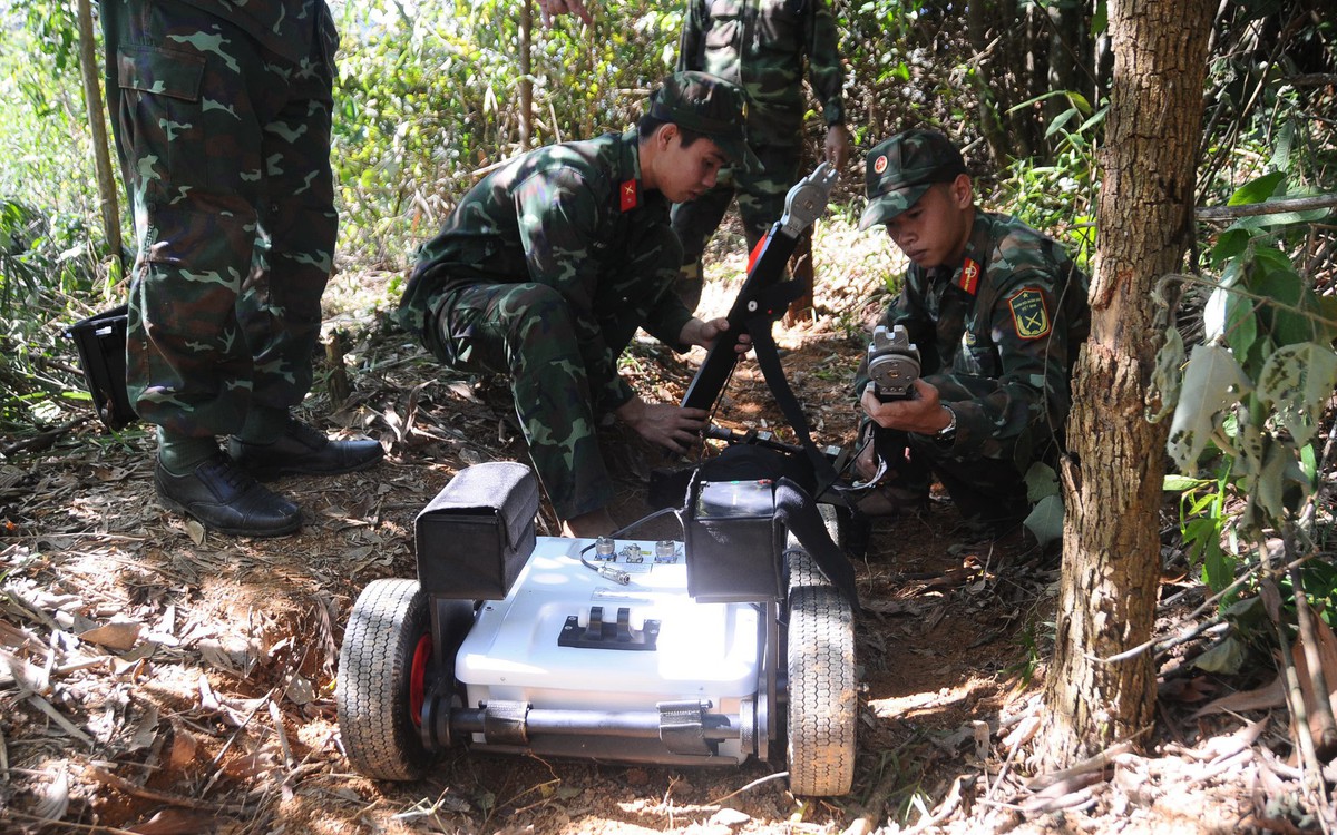 Vụ người dân Phú Thọ báo tin 200 hài cốt trong rừng keo: Dù thông tin muộn nhưng 'quý hơn vàng'