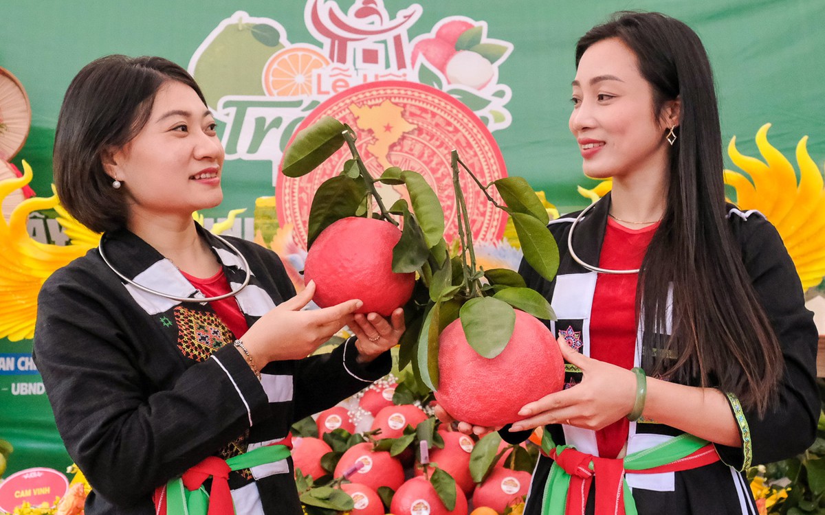 Bưởi Bắc Ninh xuất khẩu sang Nga, ổi sang Anh, trái cây còn dư địa nào?
