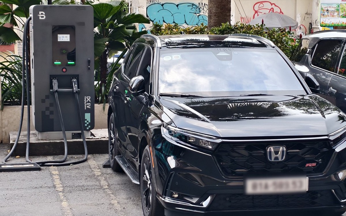 Xe điện thống trị doanh số, vì sao các hãng vẫn ồ ạt đổ bộ xe hybrid vào Việt Nam?