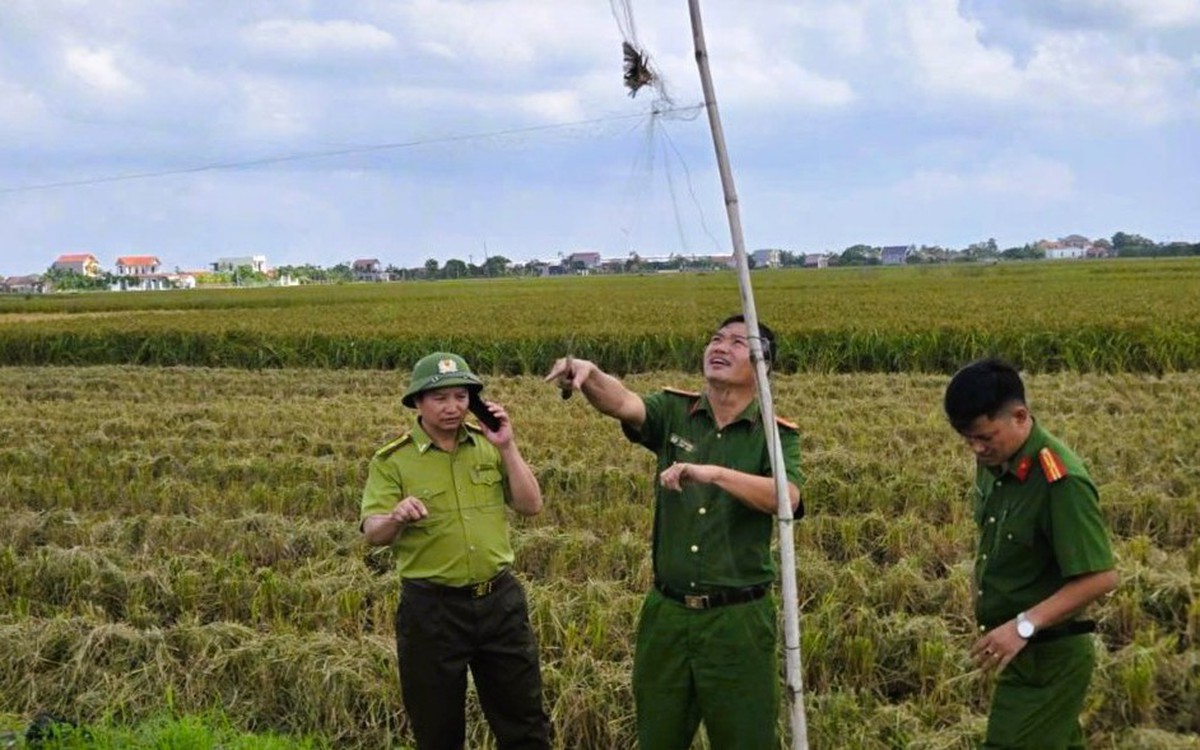 Ninh Bình xử lý hàng chục vụ bẫy bắt, nuôi nhốt chim hoang dã, khởi tố 1 bị can