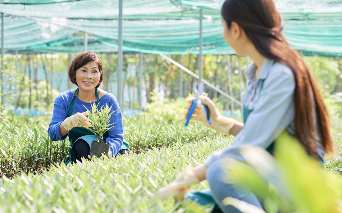 Khởi nghiệp xã hội là chìa khóa cho tương lai phát triển bền vững