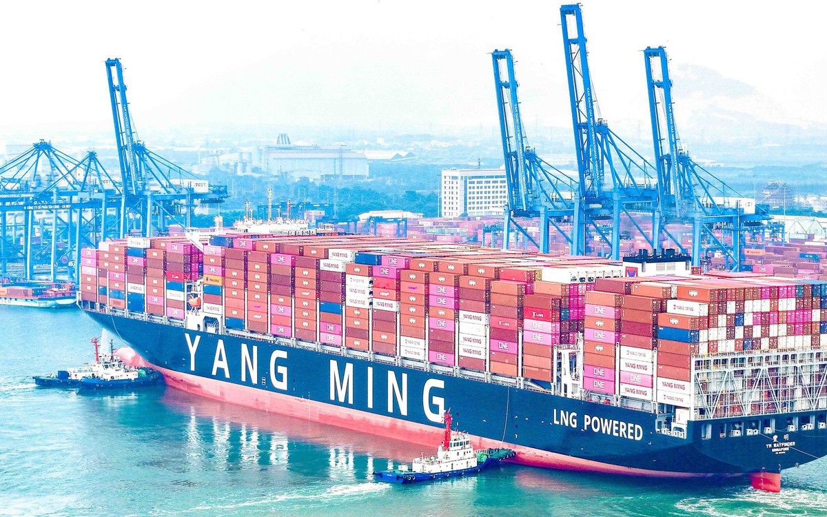 Cái Mép hút tàu container thế hệ mới, sức chở 15.500 TEU