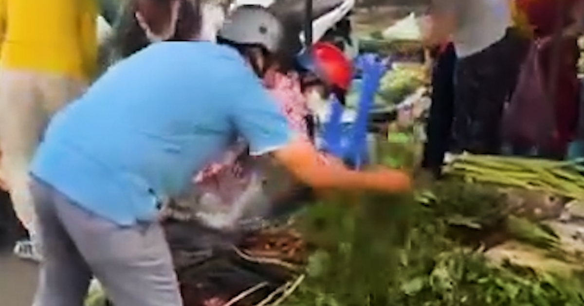 Trúng độc đắc 5 tờ vé số, chủ sạp rau quả ở Cà Mau 'xả giàn' cho ai cần ...