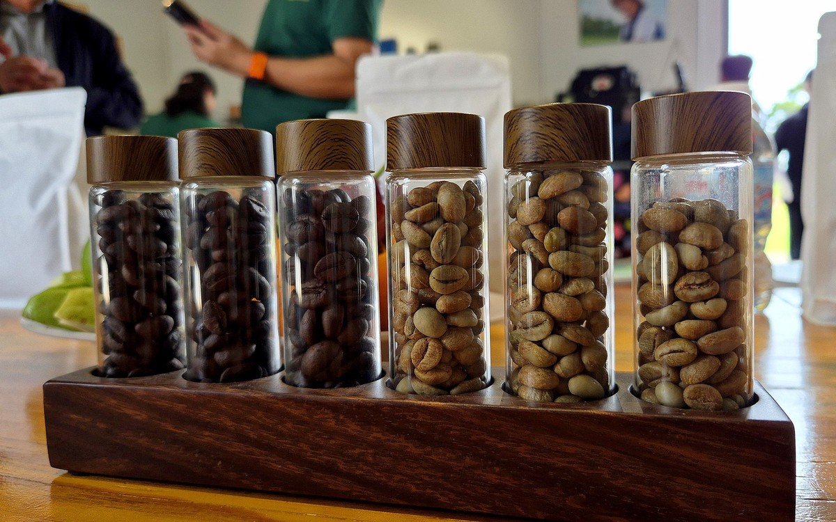 Robusta trong tuần: Giá nội địa mất mốc 90.000 đồng/kg, nông dân ít bán sớm