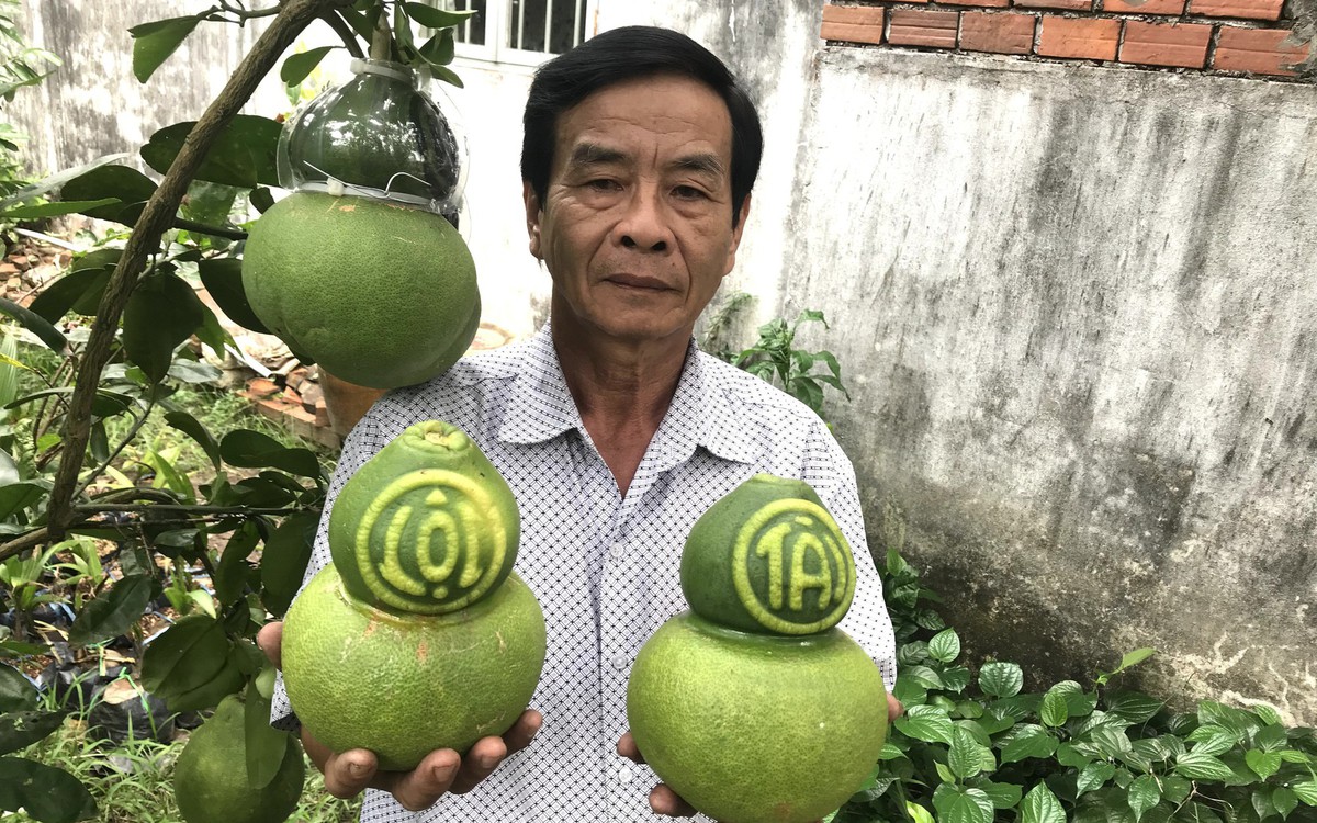 Bưởi hồ lô Tài Lộc giá đến 1 triệu đồng một trái vẫn lo thiếu hàng dịp Tết