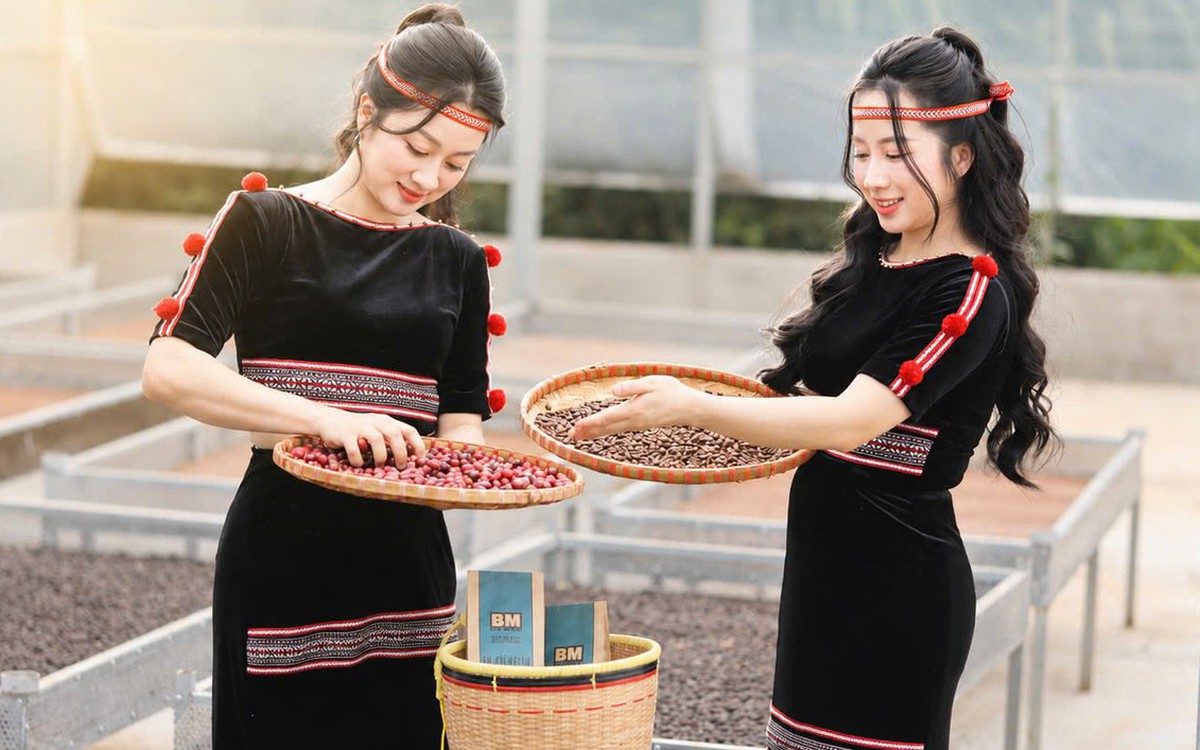 Workshop cùng nông dân xây 'hệ miễn dịch' cho cà phê Robusta ngay tại vườn