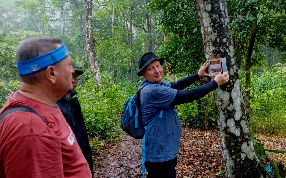 Hệ thống dẫn đường Czech the Trail tại Phong Nha - Kẻ Bàng có gì đặc biệt?