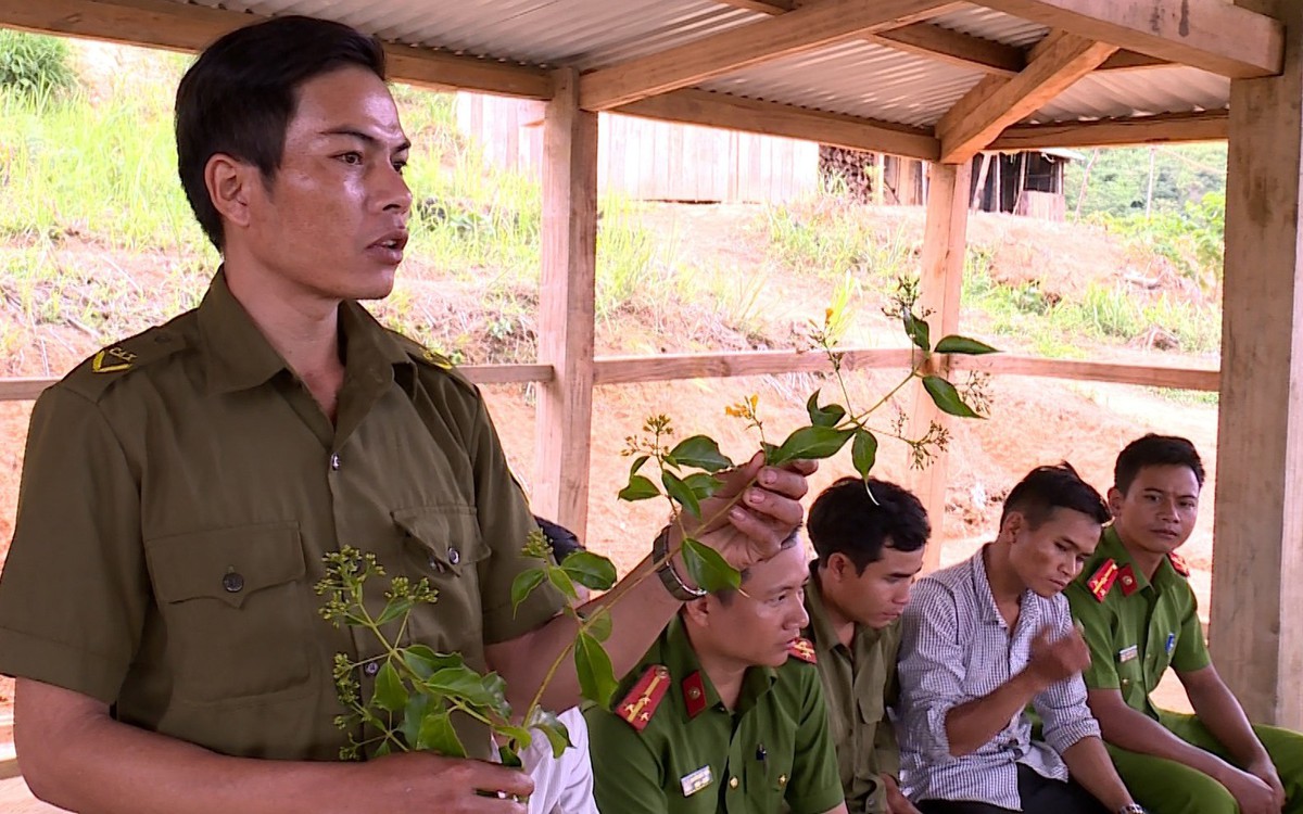 Làm cách nào để học sinh, trẻ em tránh ăn nhầm lá ngón dẫn đến tử vong?