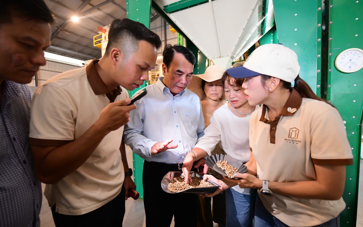 Lâm Đồng có Hội Người sản xuất cà phê bền vững