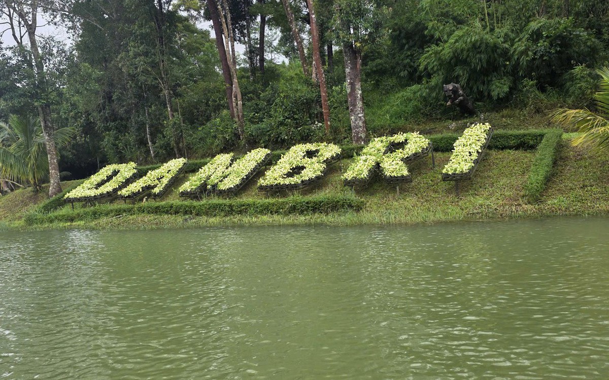 Trốn phố về Đamb'ri hùng vĩ: Ngủ giữa mây ngàn, thức giấc bên thác đổ