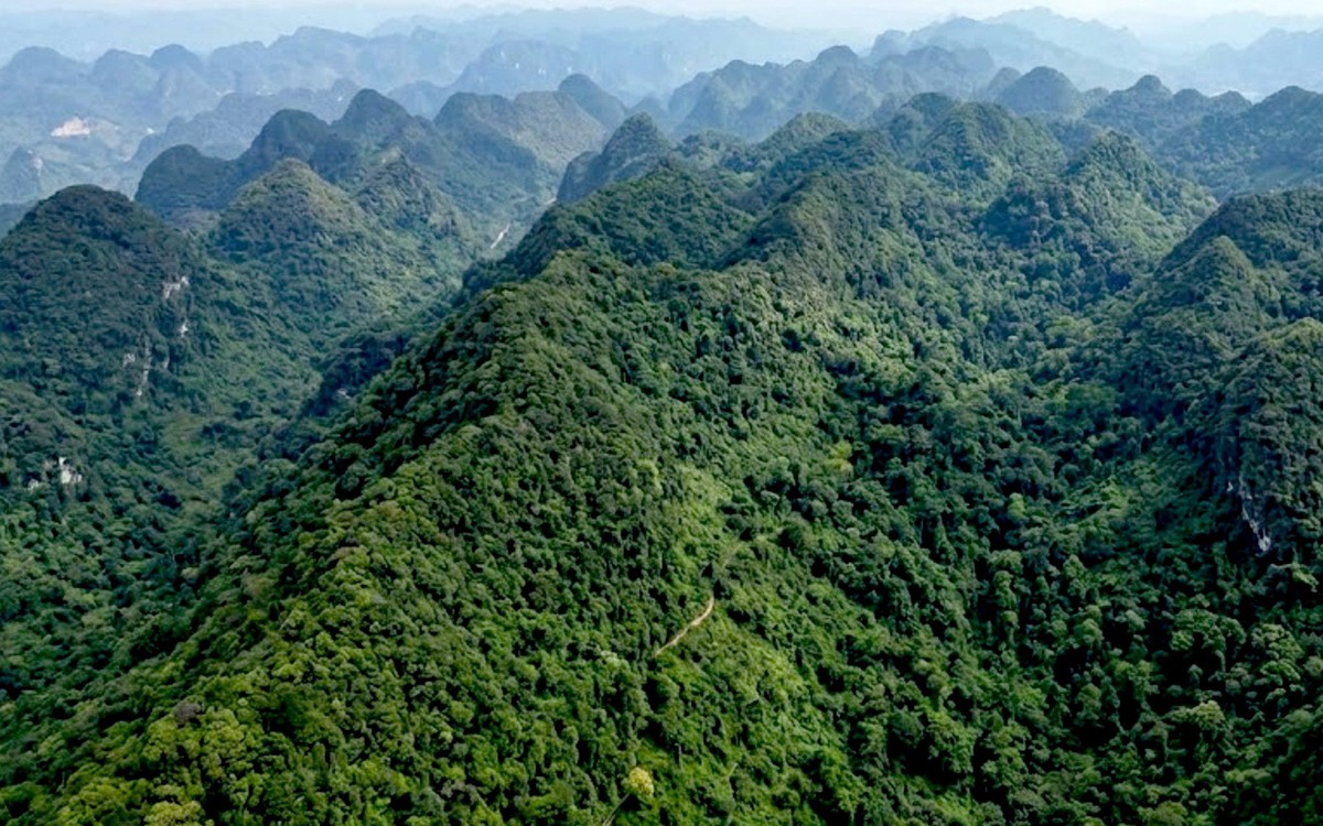Chủ tịch Quảng Trị muốn dùng thiết bị bay không người lái giám sát rừng Phong Nha - Kẻ Bàng
