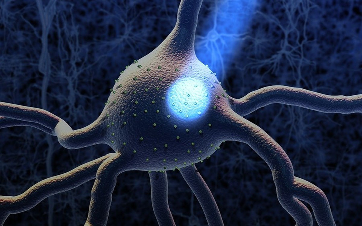 Nobel y sinh 2026: Bật tắt neuron bằng ánh sáng, đặt nền cho cách chữa Alzheimer, Parkinson trong tương lai