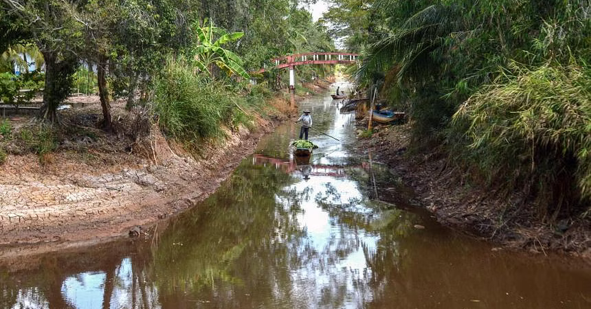 Xâm nhập mặn gia tăng ở miền Tây đầu tháng 2 và Tết Nguyên đán