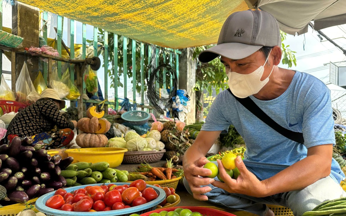 Chanh không hạt tăng giá gấp 3 nhưng nhà vườn không có hàng bán