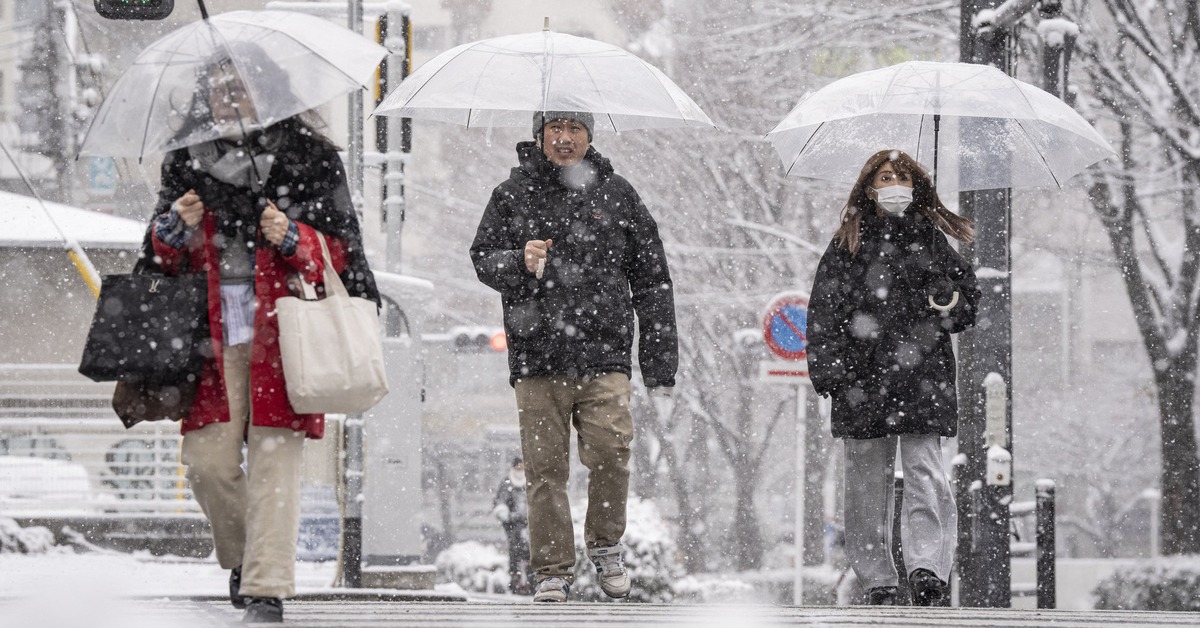 Hàn Quốc, Nhật Bản chật vật ứng phó bão tuyết