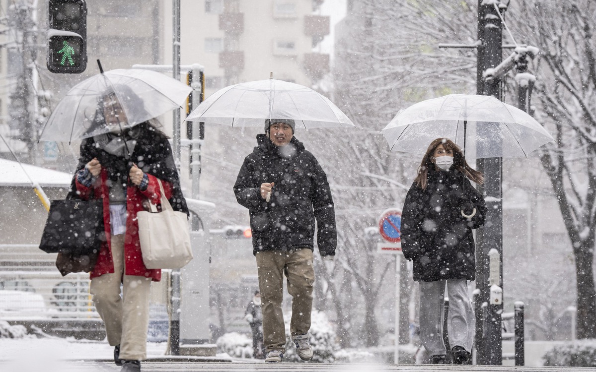Hàn Quốc, Nhật Bản chật vật ứng phó bão tuyết