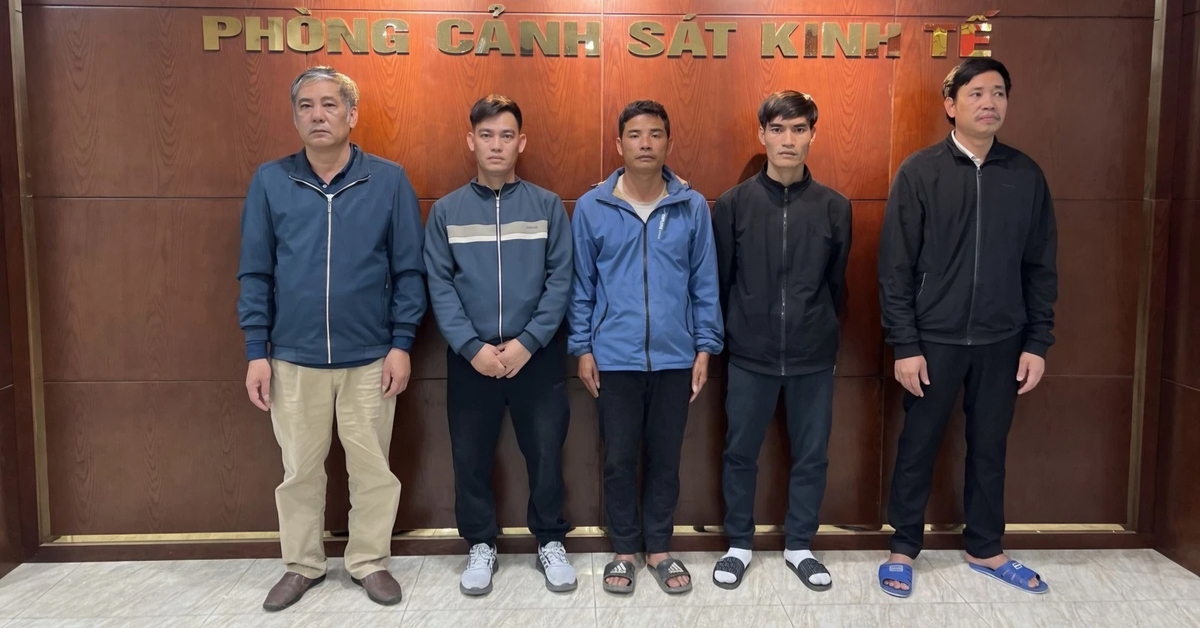 Khởi tố 5 người mua bán, vận chuyển heo bệnh dịch tả châu Phi