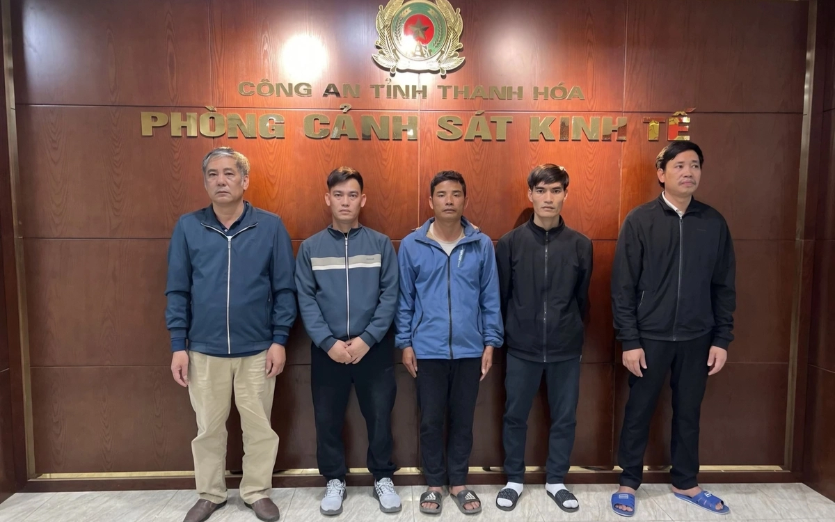 Khởi tố 5 người mua bán, vận chuyển heo bệnh dịch tả châu Phi