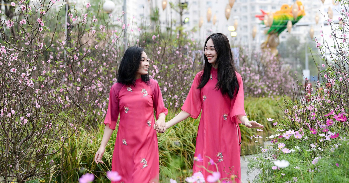 Miền Bắc duy trì rét về đêm và sáng, Nam Bộ nắng ráo đến Tết Nguyên đán